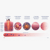 Photobiomodulation therapy process showing laser delivery, cellular absorption, ATP production, tissue repair, and inflammation reduction
